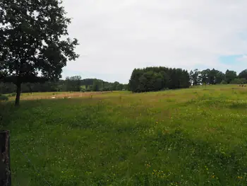 Chateau de Reinhardstein (Belgium)